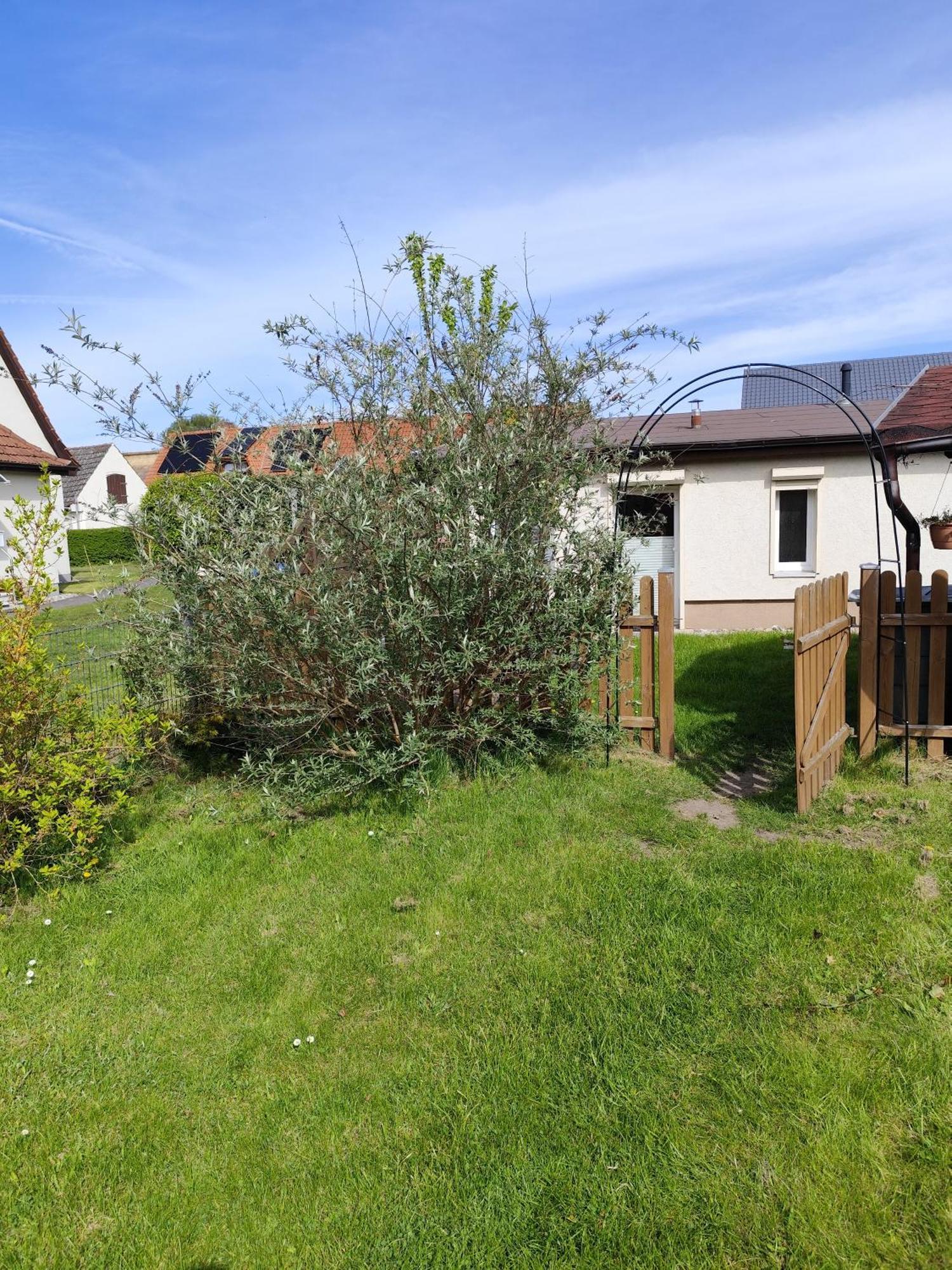 Sonnengarten Ückeritz Buitenkant foto